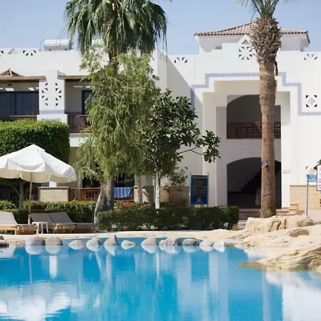 Suite At Shores Amphoras Resort