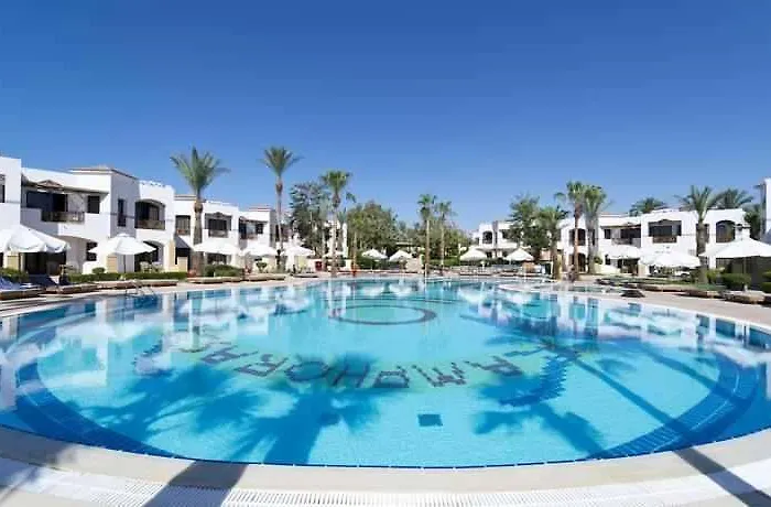 Resort At Shores Amphoras 3*