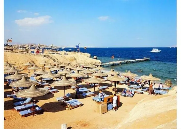 At Shores Amphoras